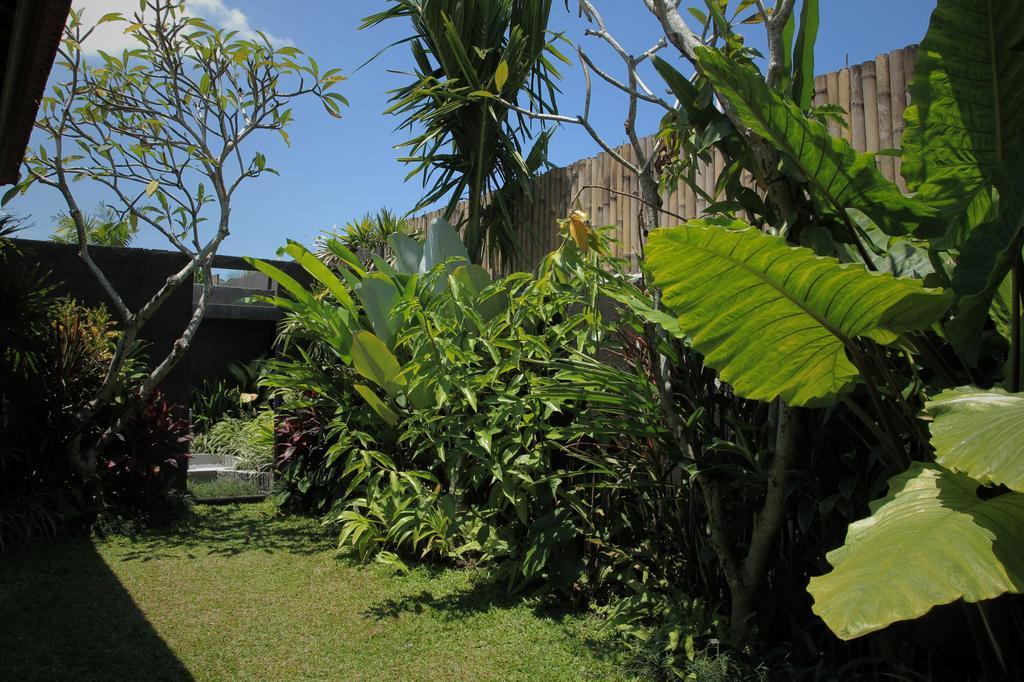 Dugul Ubud Номер фото
