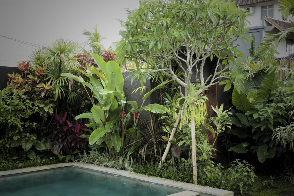 Dugul Ubud Номер фото