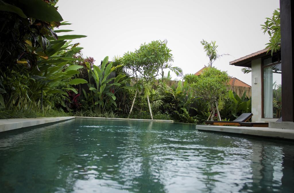 Dugul Ubud Номер фото